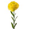 Dália szál, 50cm magas - Sárga