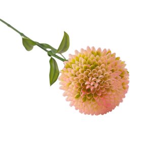 Dália szál, 50cm magas - Krém / Rózsaszín