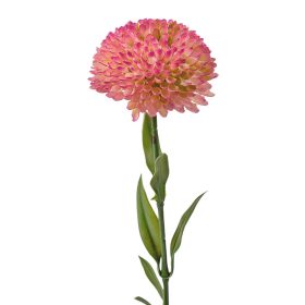 Dália szál, 50cm magas - Rózsaszín