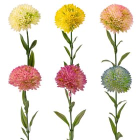 Dália szál, 50cm magas - 48db-os mix