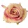Rose silk flower head, 9cm - Cream / Pink