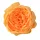 English rose silk flower head, 10.5cm - Orange