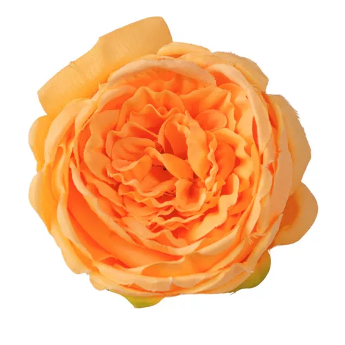 English rose silk flower head, 10.5cm - Orange