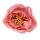 Peony silk flower head, 7cm - Powder Pink
