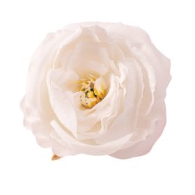 Peónia selyemvirág fej, 7cm - Fehér