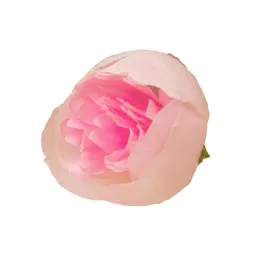 Buttercup Silk Flower Head, 3cm - Light Pink