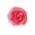 Buttercup Silk Flower Head, 3cm - Dark Pink