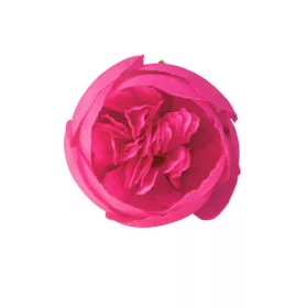 Buttercup Silk Flower Head, 3cm - Fuchsia