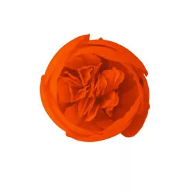 Boglárka selyemvirág fej, 3cm - Narancssága