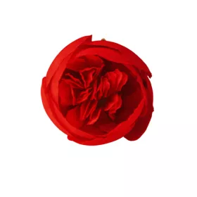 Boglárka selyemvirág fej, 3cm - Piros