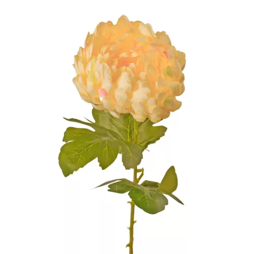 Krizantém selyemvirág szál, 65cm magas, virágfej átmérő: 14cm - Krém