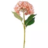 Hortenzia selyemvirág ág, 62cm magas, virágfej átmérő: 22cm - Bézs