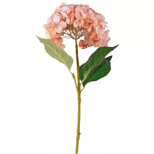 Hortenzia selyemvirág ág, 62cm magas, virágfej átmérő: 22cm - Bézs