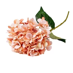   Hortenzia selyemvirág ág, 62cm magas, virágfej átmérő: 22cm - Bézs