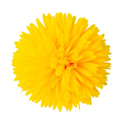 Krizantém selyemvirág fej, 14cm - Sárga