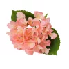 Real touch hortenzia, 21cm magas, virágfej  átmérő: 15cm - Rózsaszín