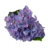 Real touch hortenzia, 21cm magas, virágfej  átmérő: 15cm - Kékes lila