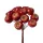Berry Decorative Pick Ø 1.9cm, 12 Stems, 11cm Tall - Brown