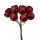 Berry Decorative Pick Ø 1.9cm, 12 Stems, 11cm Tall - Burgundy