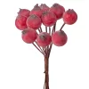 Csipkebogyó dekor pick Ø 1.2cm, 12 szál, 11cm magas - Piros