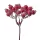 Berry Decorative Bundle, 5 Stems, 14cm Tall - Red