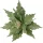 Velvet Poinsettia Decorative Pick ⌀ 30cm, 15cm Tall - Green