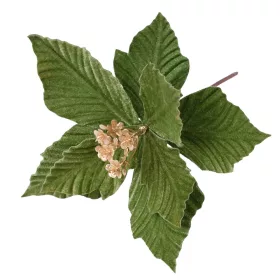   Bársony mikulásvirág dekor pick ⌀ 25cm, 15cm magas - Zöld