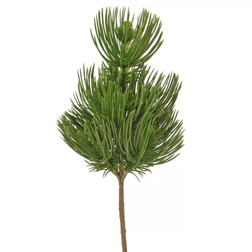 Needle Pine Branch, 30cm Tall - Green