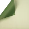 Two-Tone Foil Sheet 58cm x 58cm, 20pcs - Dark Green/Light Green