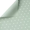 Small Polka Dot Foil Sheet 58 cm x 58 cm, 20 pcs - Pastel Green