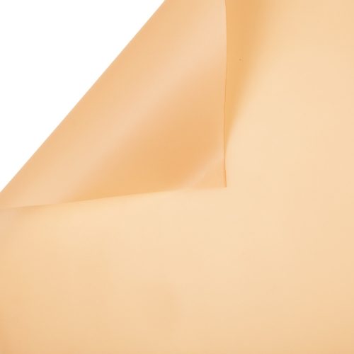 Matte foil roll 58cm x 10m - Beige