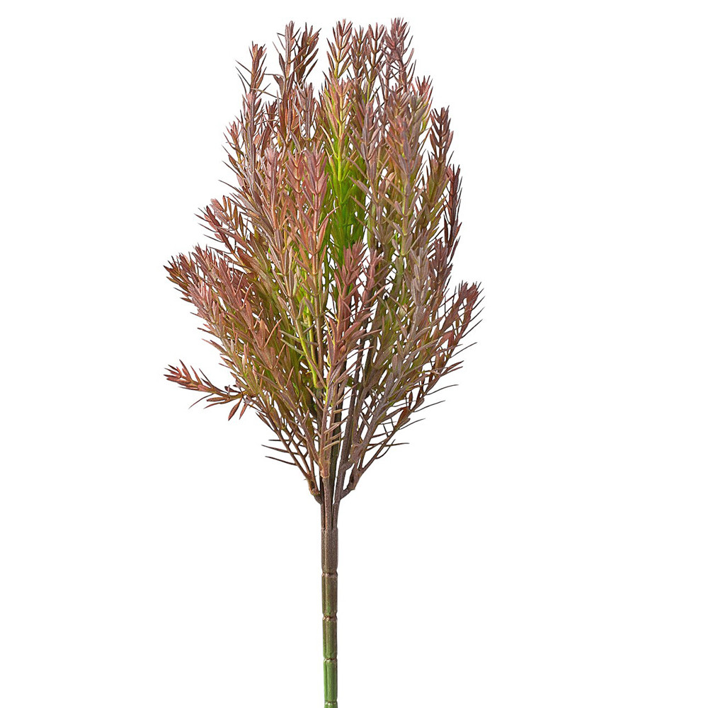 Ciprus bokor, 7 ágú, 35cm magas - Lila